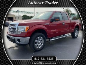 2013 Ford F150 for sale 101894469