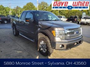 2013 Ford F150 for sale 101897167