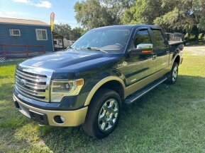 2013 Ford F150 for sale 101902059