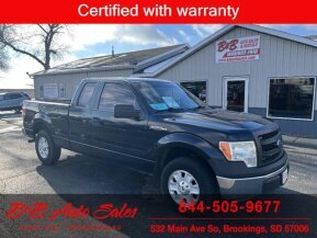 2013 Ford F150 for sale 101941739