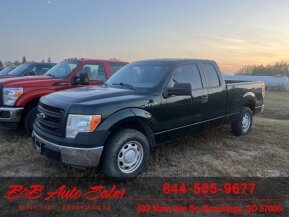 2013 Ford F150 for sale 101941740