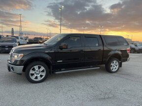 2013 Ford F150 for sale 101962838