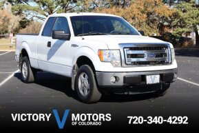 2013 Ford F150 for sale 101966355