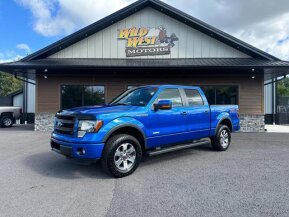 2013 Ford F150 for sale 101968210