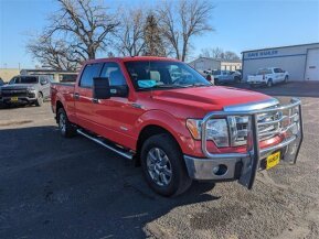 2013 Ford F150 for sale 101974055