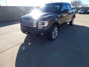 2013 Ford F150 for sale 101990043