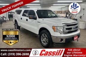 2013 Ford F150 for sale 101991650