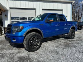 2013 Ford F150 for sale 101993931
