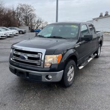 2013 Ford F150 for sale 101993945