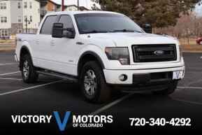 2013 Ford F150 for sale 101997970