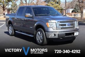 2013 Ford F150 for sale 102005273