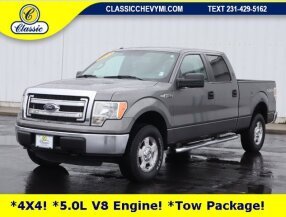 2013 Ford F150 for sale 102013477
