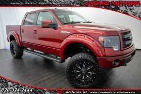 2013 Ford F150 for sale 102015492