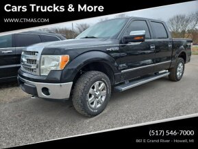 2013 Ford F150 for sale 102018324