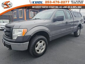 2013 Ford F150 for sale 102018764