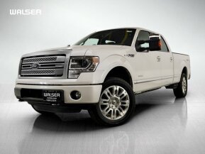 2013 Ford F150 for sale 102021248
