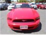 2013 Ford Mustang for sale 101499178
