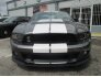 2013 Ford Mustang Shelby GT500 Coupe for sale 101632010