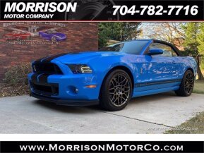 2013 Ford Mustang Shelby GT500 Convertible for sale 101657089