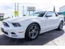 2013 Ford Mustang for sale 101666547
