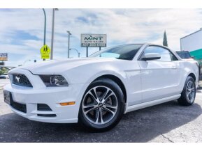 2013 Ford Mustang for sale 101666547