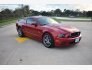 2013 Ford Mustang GT Coupe for sale 101726410