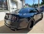 2013 Ford Mustang for sale 101793642