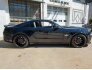 2013 Ford Mustang for sale 101793642