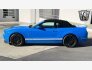2013 Ford Mustang Shelby GT500 for sale 101840344