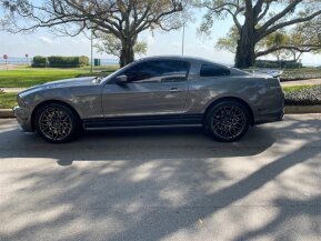 2013 Ford Mustang Shelby GT500 for sale 101856453