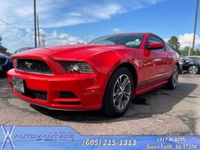 2013 Ford Mustang for sale 101893268