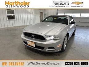 2013 Ford Mustang for sale 101929461