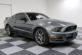 2013 Ford Mustang Coupe for sale 101971316
