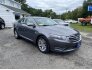 2013 Ford Taurus for sale 101792151
