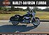 2013 Harley-Davidson Touring for sale 200523437