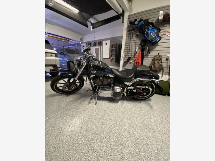 Thumbnail Photo undefined for 2013 Harley-Davidson Softail