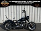 Thumbnail Photo 0 for 2013 Harley-Davidson Softail