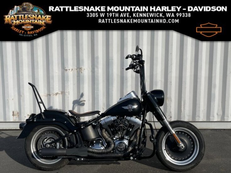 Thumbnail Photo undefined for 2013 Harley-Davidson Softail