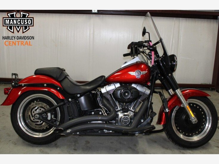 Thumbnail Photo undefined for 2013 Harley-Davidson Softail