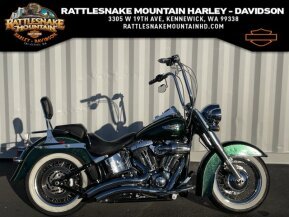 2013 Harley-Davidson Softail for sale 201366428