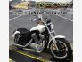 2013 Harley-Davidson Sportster for sale 201381792