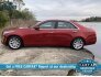 2014 Cadillac CTS for sale 101656039