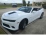 2014 Chevrolet Camaro SS Convertible for sale 100776964