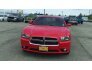 2014 Dodge Charger R/T for sale 101771930