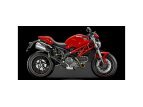 2014 Ducati Monster 600 796 specifications