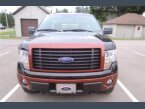 Thumbnail Photo 1 for 2014 Ford F150 for Sale by Owner