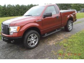 2014 Ford F150 for sale 100747130