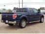 2014 Ford F150 for sale 101603714