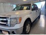 2014 Ford F150 for sale 101610198