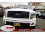 2014 Ford F150 for sale 101655495